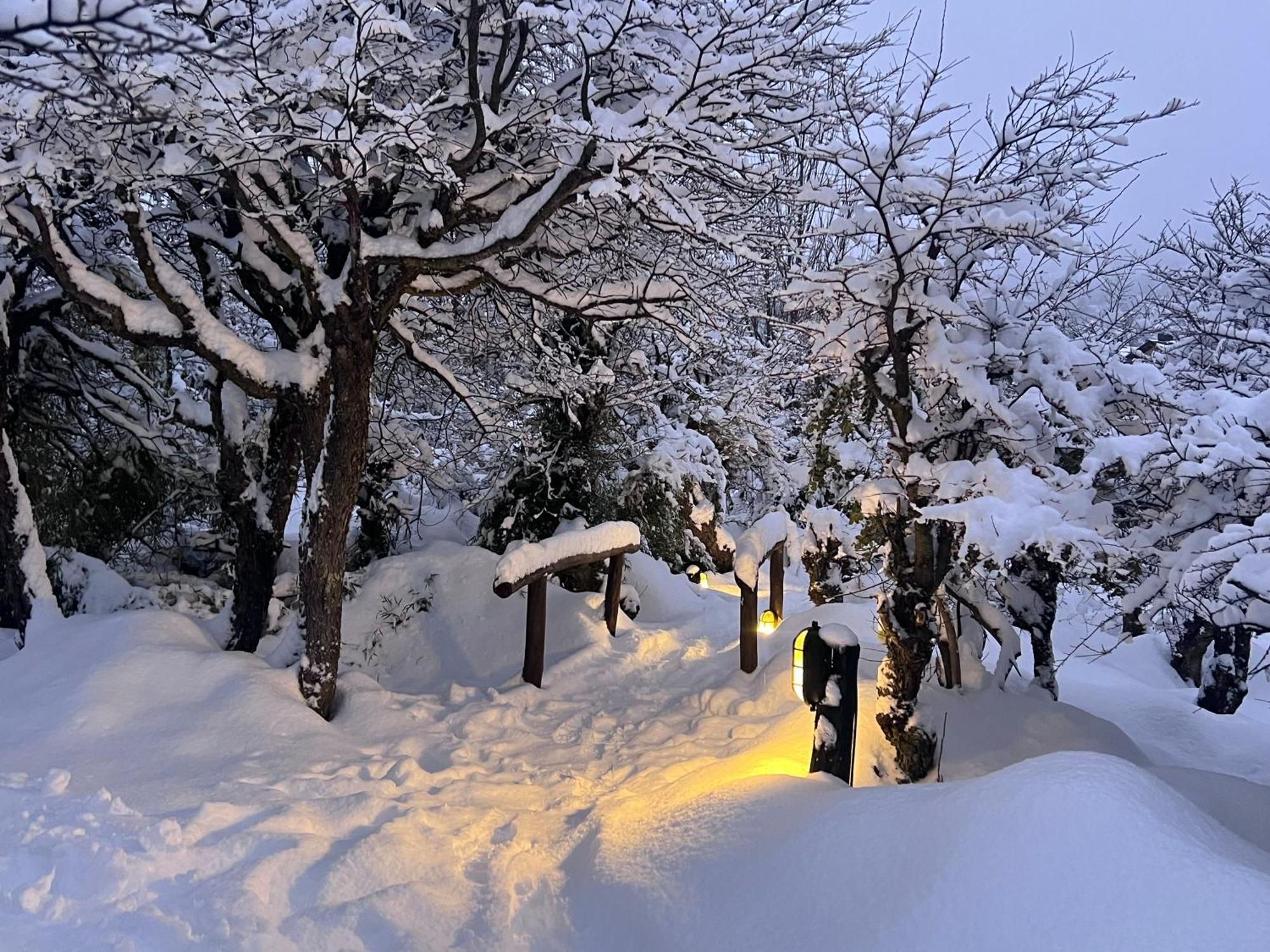 Los Nires Lodge Cerro Catedral San Carlos de Bariloche Eksteriør bilde